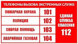 Бесплатная горячая линия для жителей Саранска и Республики Мордовия.